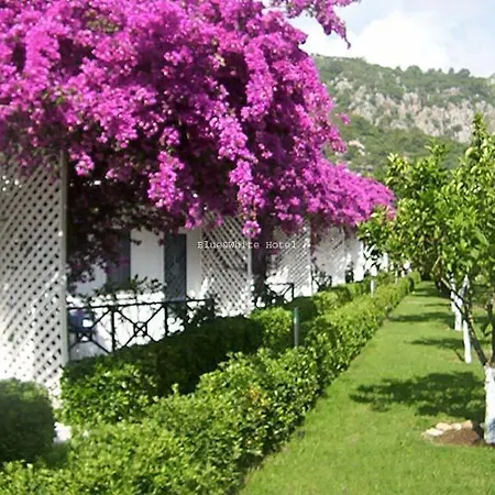 Vakantiepark Blue & White 3*